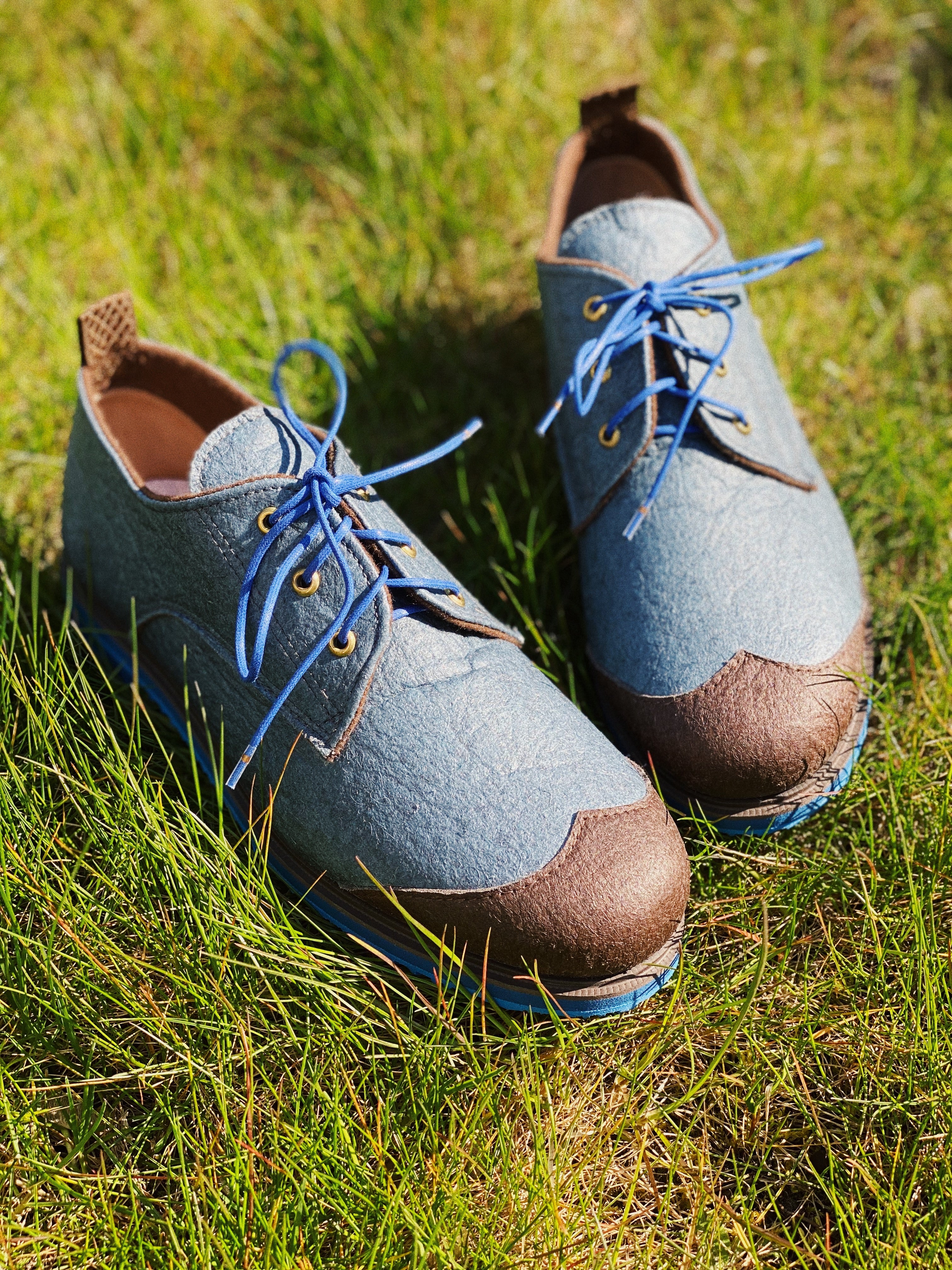 OCEAN oxfords